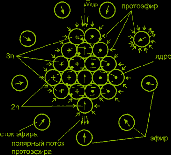 Схема полевого строения ядра
